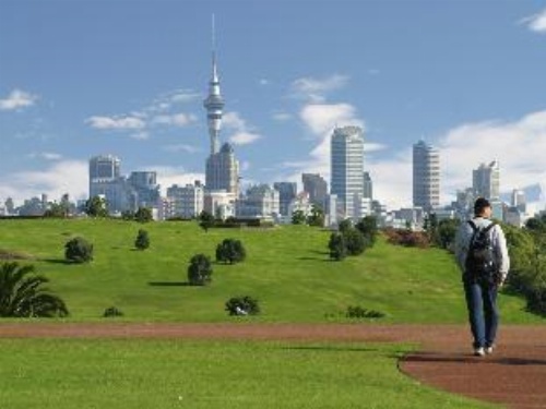 Base Auckland image 15