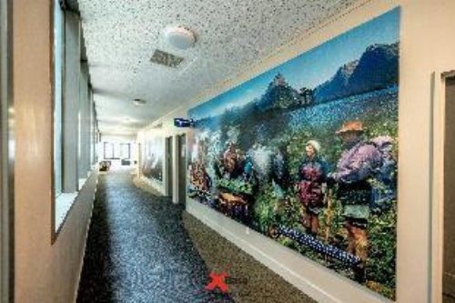 Base Auckland image 8